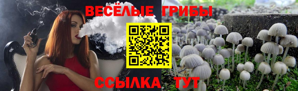 Галлюциногенные грибы Magic Shrooms  Вход с VPN  Новоуральск 